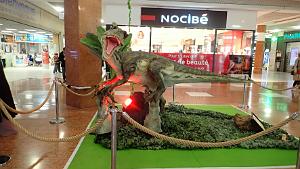 99 toulon carrefour Mayol  (11)